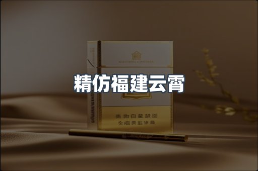 精仿福建云霄
